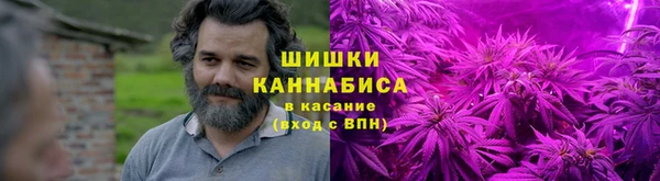 молекула духа Арсеньев