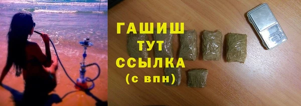 стаф Аркадак