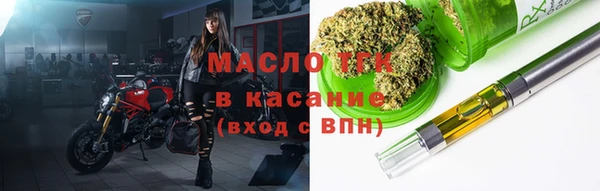 стаф Аркадак