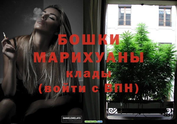 молекула духа Арсеньев