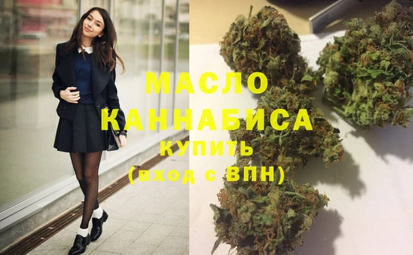 молекула духа Арсеньев