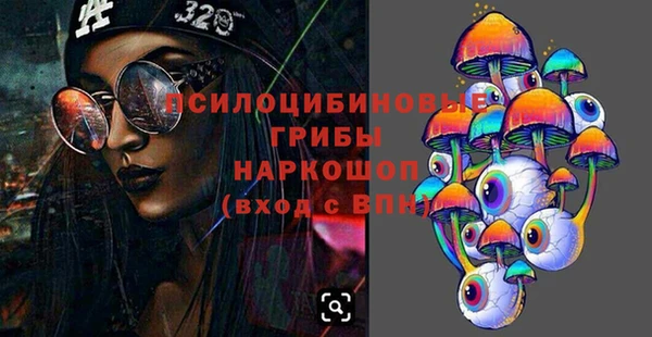 ГАЛЛЮЦИНОГЕННЫЕ ГРИБЫ Переславль-Залесский