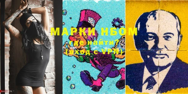 стаф Аркадак
