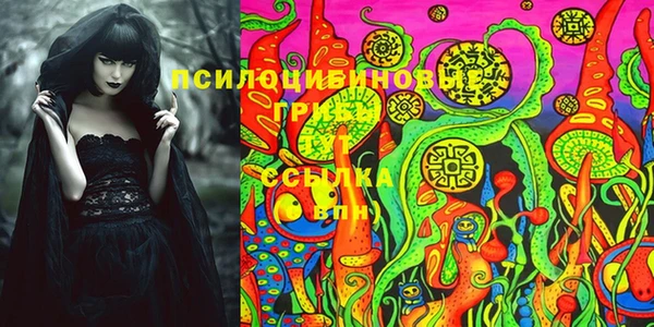 молекула духа Арсеньев