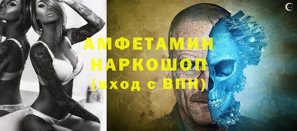 молекула духа Арсеньев