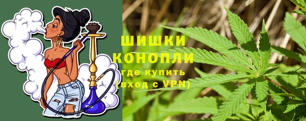 молекула духа Арсеньев