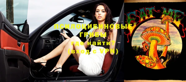 молекула духа Арсеньев