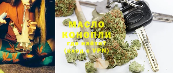 стаф Аркадак