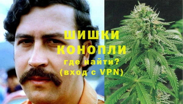 стаф Аркадак