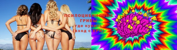 молекула духа Арсеньев