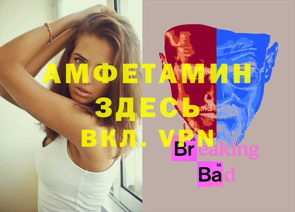 стаф Аркадак