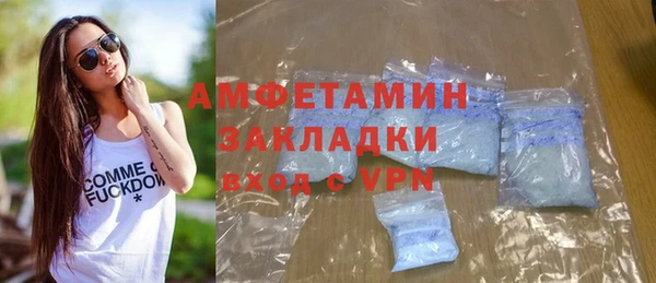 молекула духа Арсеньев